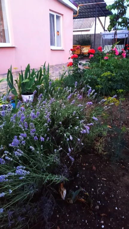 Дом на берегу Черного моря