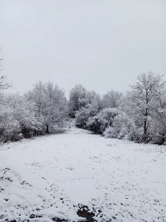 Гостевой домик " белый лис"