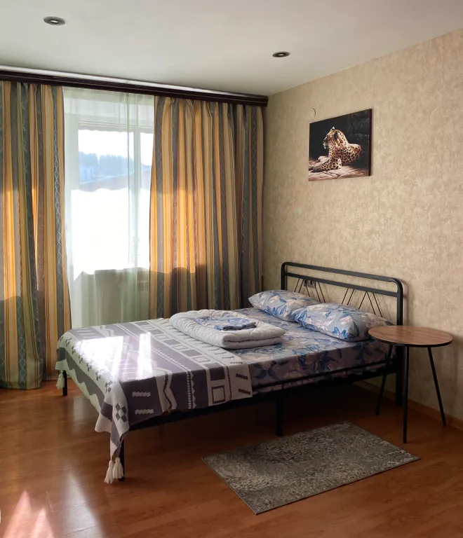 Квартира Квартира Уютная студия в центре с красивым видом — Таштагол