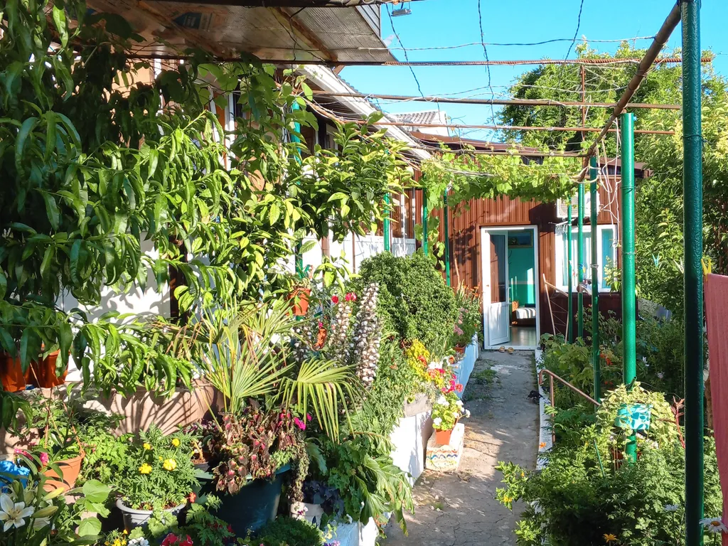 Квартира Комната с отдельным входом в частном секторе с видом на море — Сочи