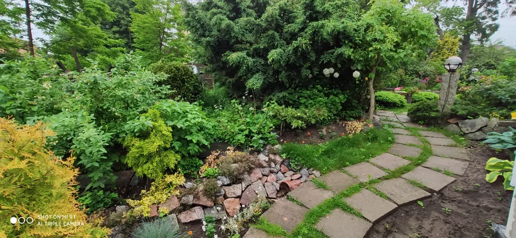 Небольшая дружелюбная студия с патио