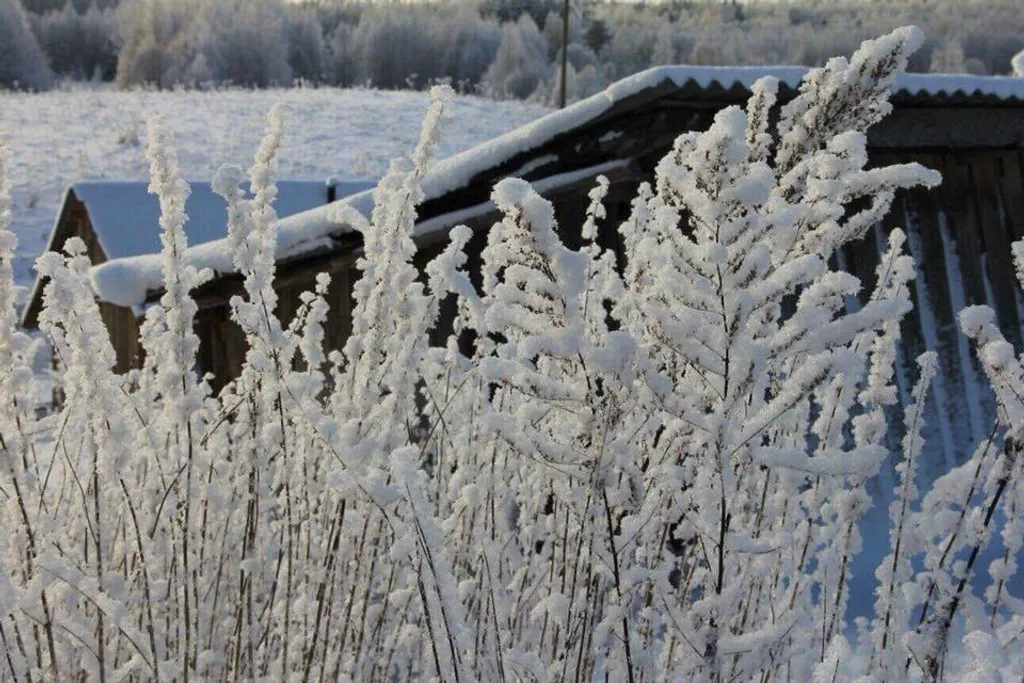 Дом у озера Мстижа