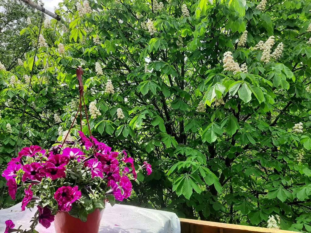 Уютная квартира в оживленном месте