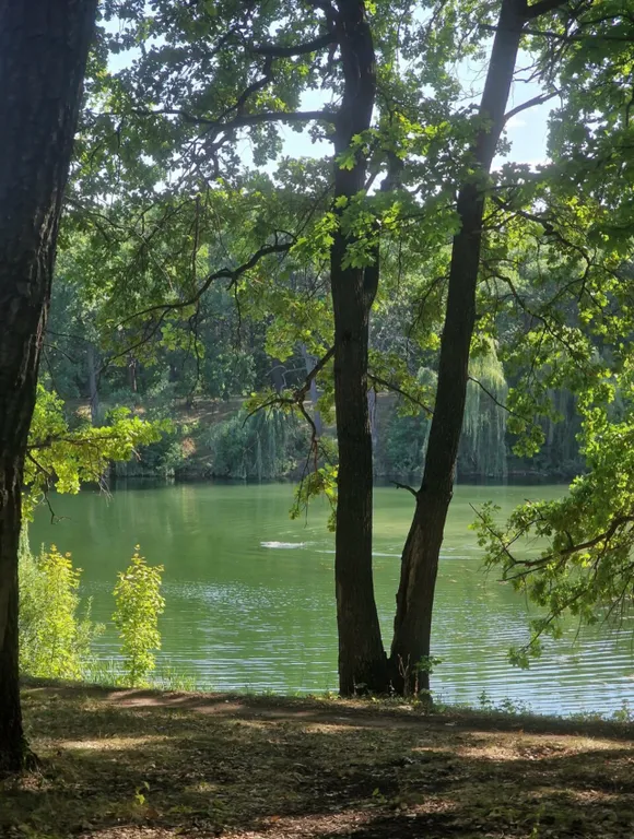 Загородный коттедж из сруба с баней, чаном, купелью и мангальной зоной