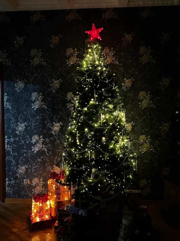 Уютный дом рядом с лесом