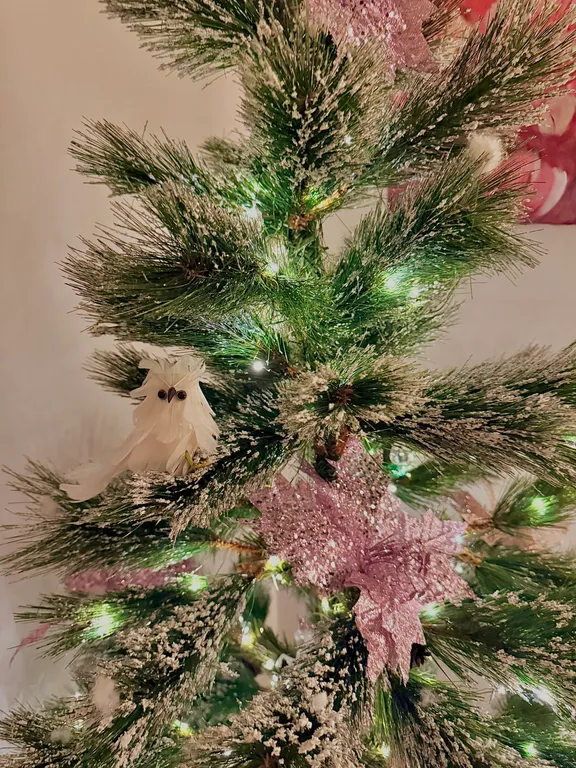 Уютная квартира в центре Петрозаводска, сталинский дом