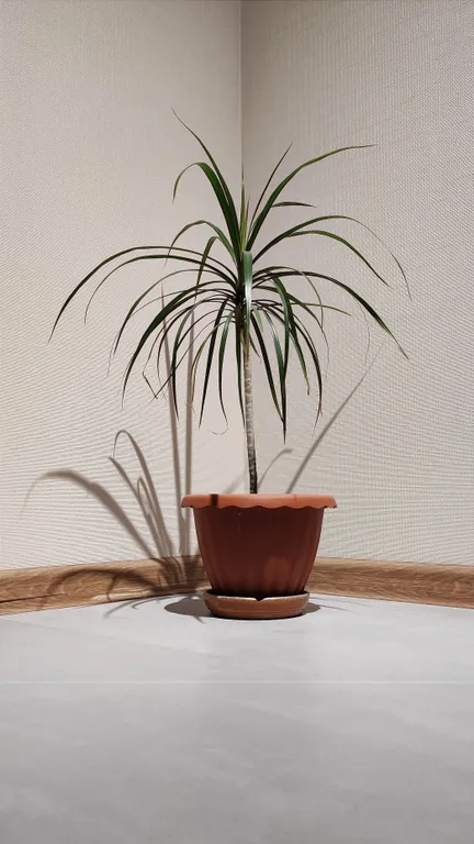 Апартаменты Липецк Центр 5