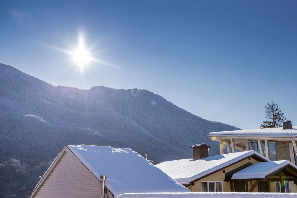 Поляна мечты