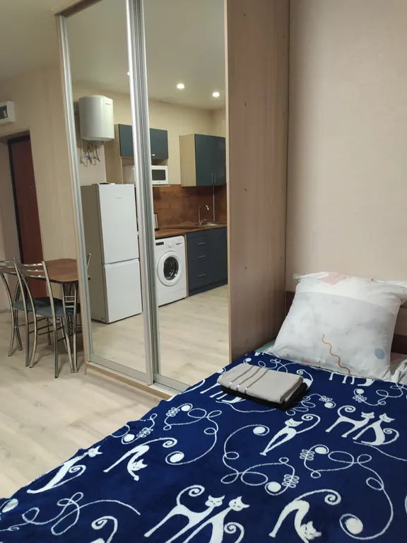 Уютная студия в географическом центре рядом с Парком Победы