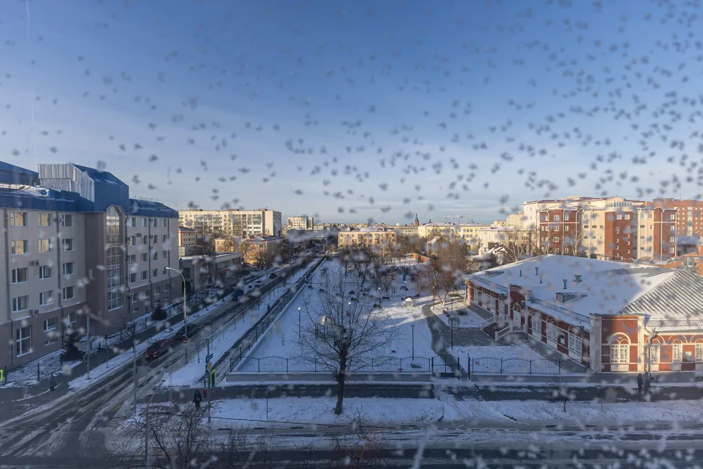 Квартира с видом на парк