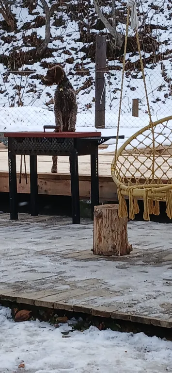 Дом 100m2 — чан, кухня, Wi-Fi