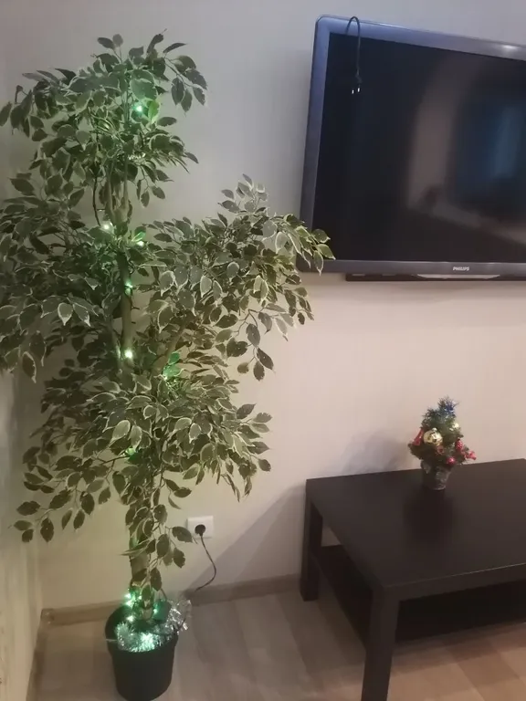 Квартира Уютные апартаменты с красивым видом на город и Волхов — Великий Новгород