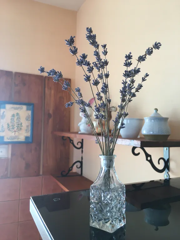 Вилла на холме с прекрасным видом