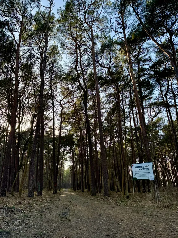 Дом с баней, караоке, PlayStation и Алисой на берегу моря