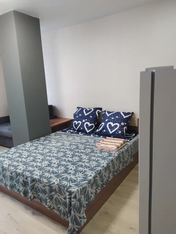 Уютная студия в Парке Победы