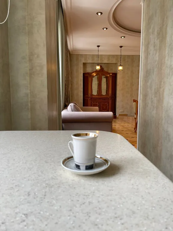 Фешенебельная квартира в сердце города