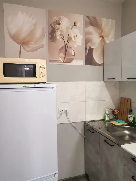 Квартира Квартира Зона комфорта — Новосибирск
