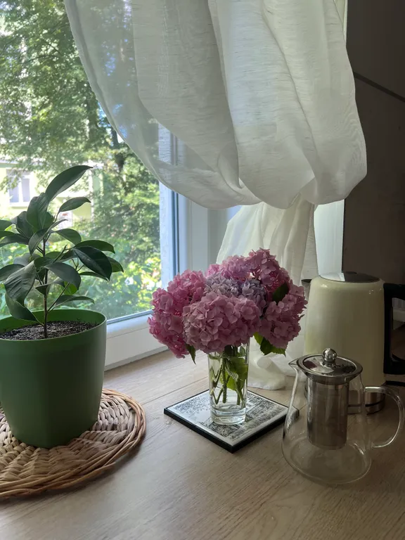 Квартира Уютная квартира — Светлогорск