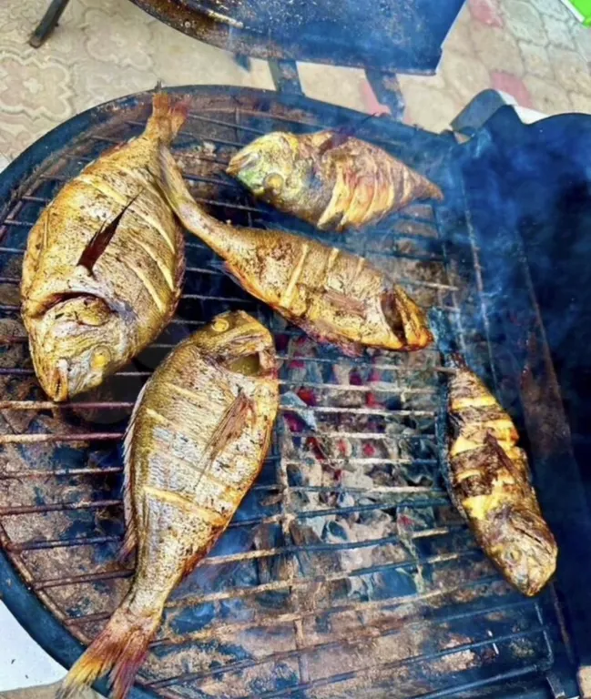 Уютная дача на Волге с огромным бассейном