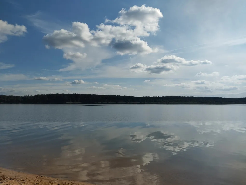 Дом в сосновом бору на озере