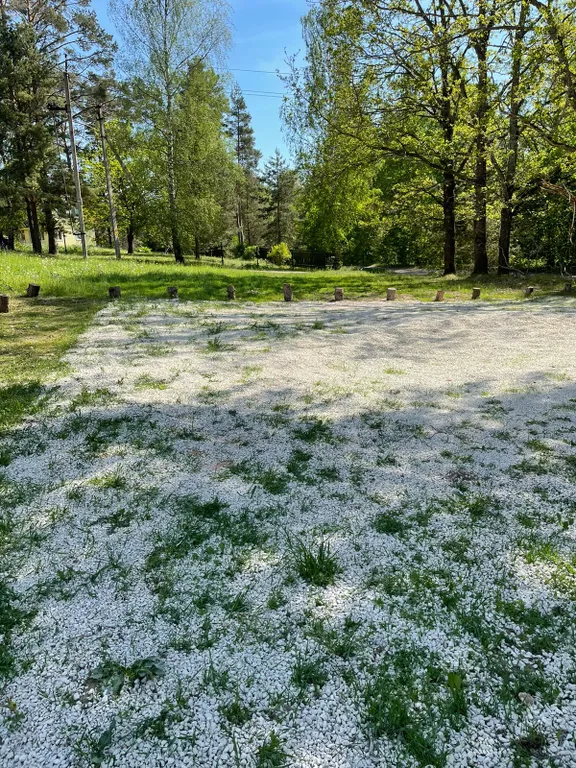 Уютный Таунхаус Хитрый лис