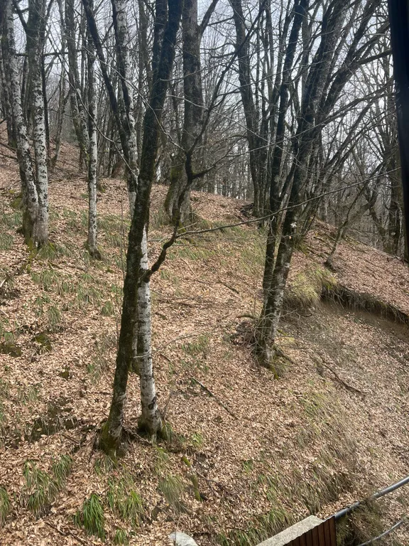 Уютная, однокомнатная  квартира