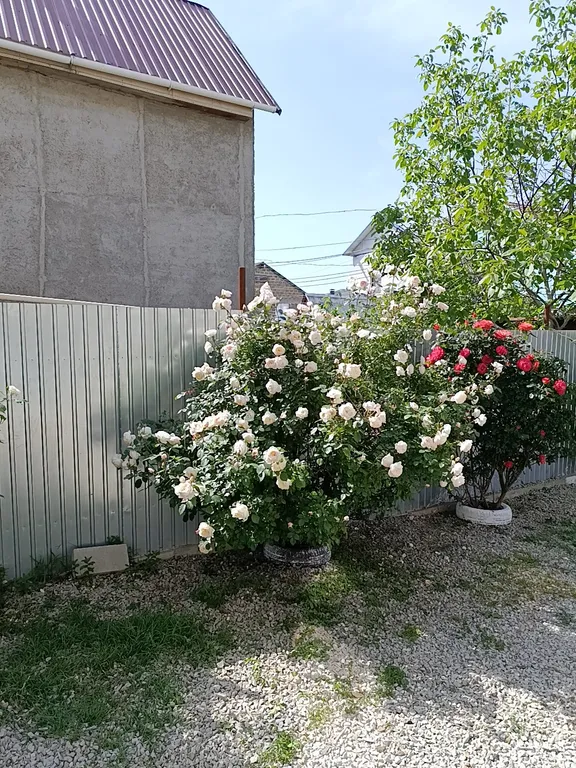 3 этаж в частном доме с отдельным входом