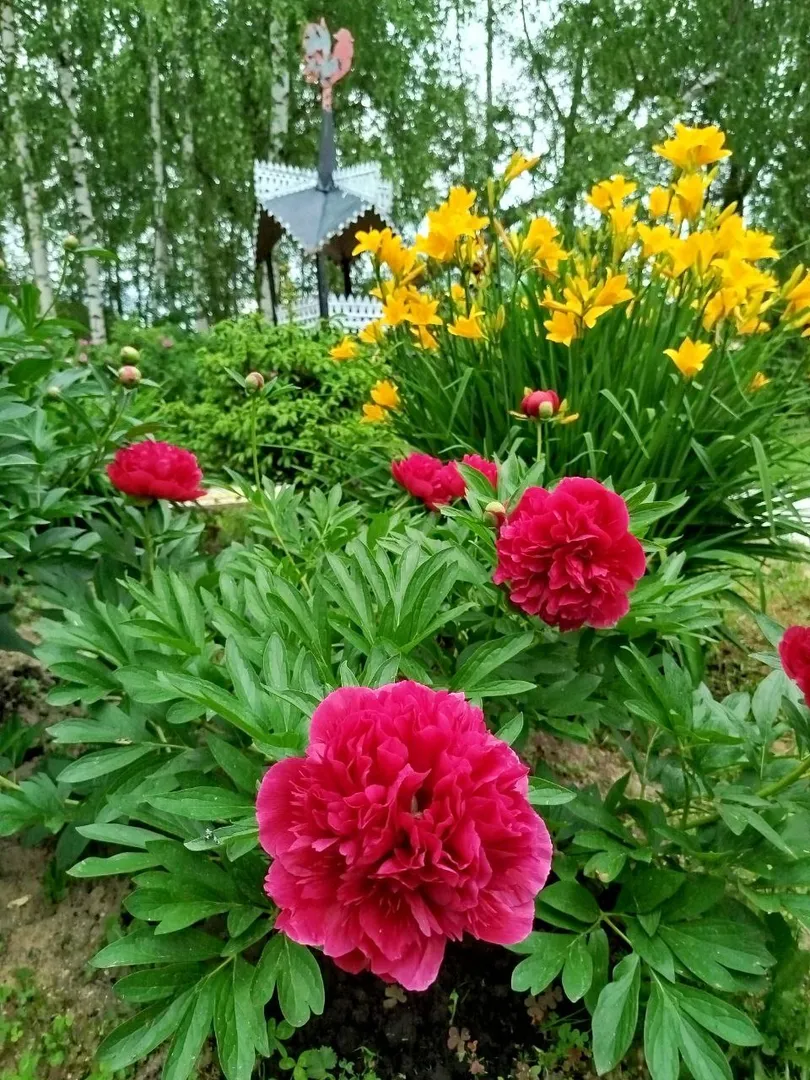 Фото