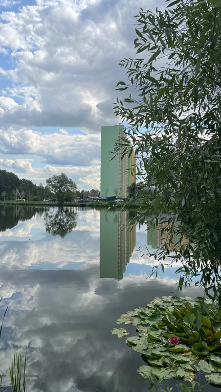 Студия с видом на лес