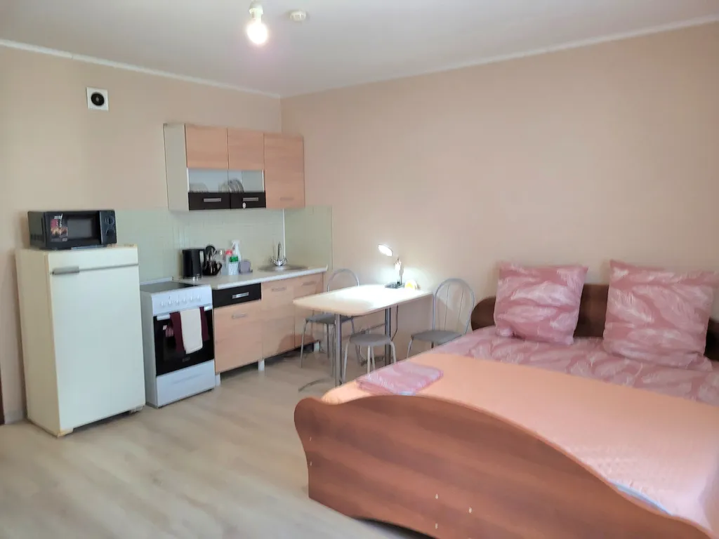 Квартира Студия в парковой зоне — аренда посуточно в Красноярск