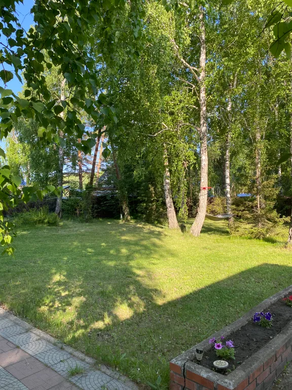 Гостевой дом в лесу