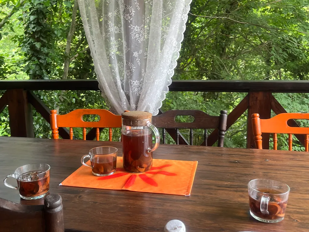 Дом в горах с видом на реку