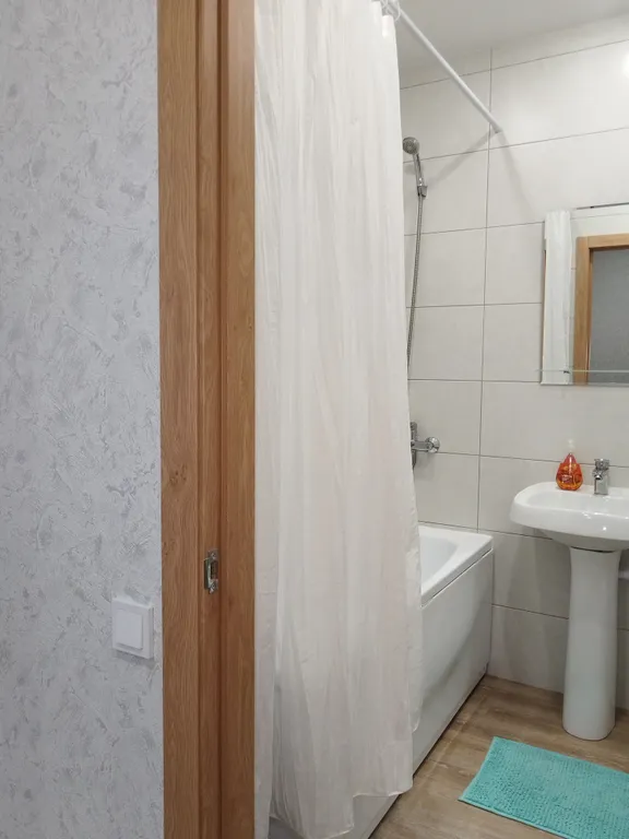 Квартира Уютная квартира в центре, рядом БЮИ, АГУ, АГМУ, АлтГТУ, Сити — Барнаул