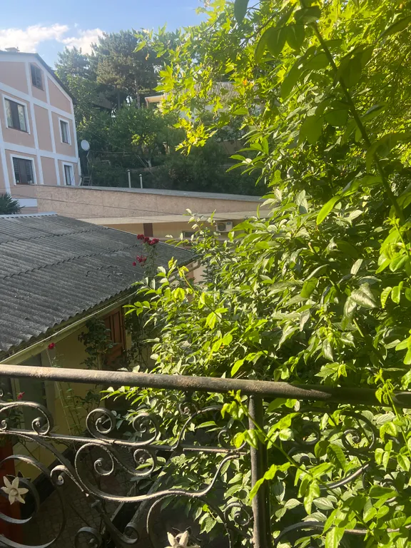 Номер с видом на хурму