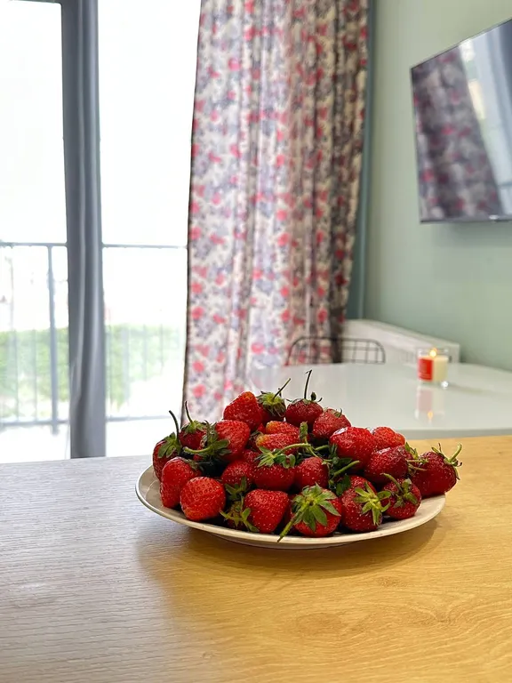 Отдых в тбилиси с комфортом - уют и метро рядом