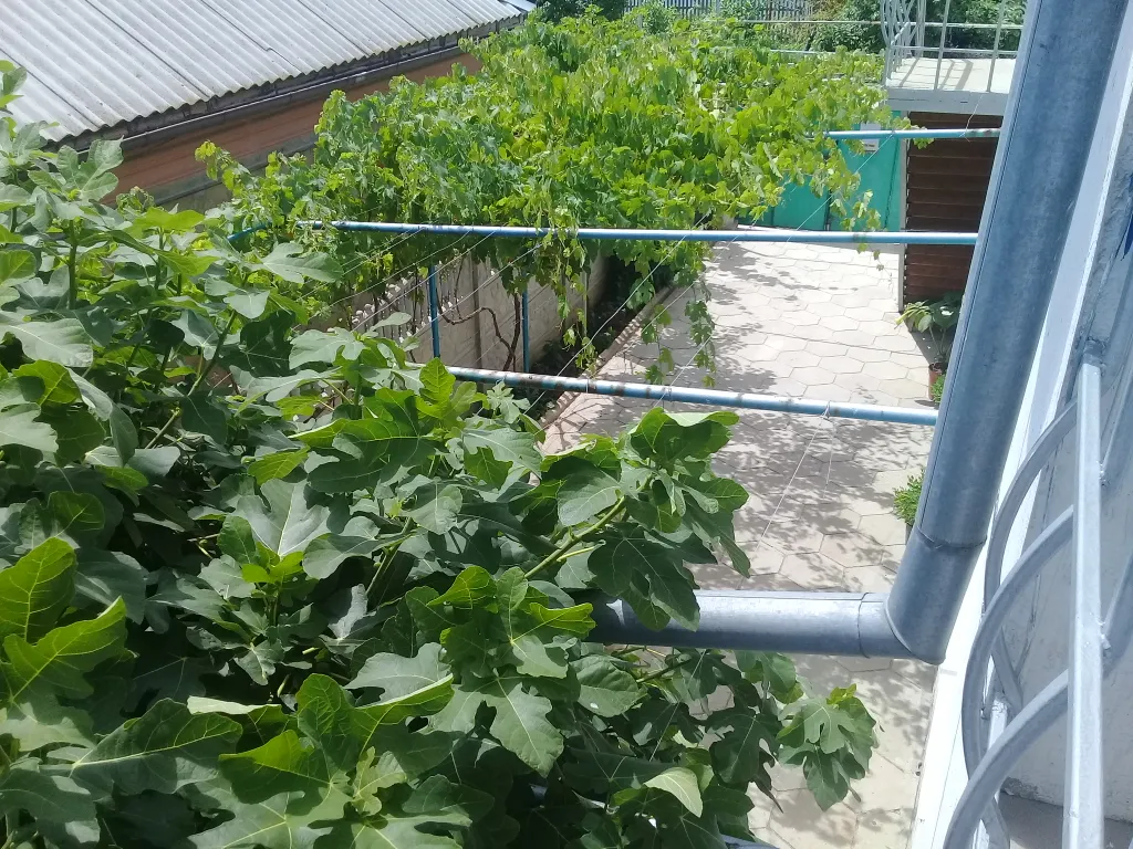 Комната для отдыха