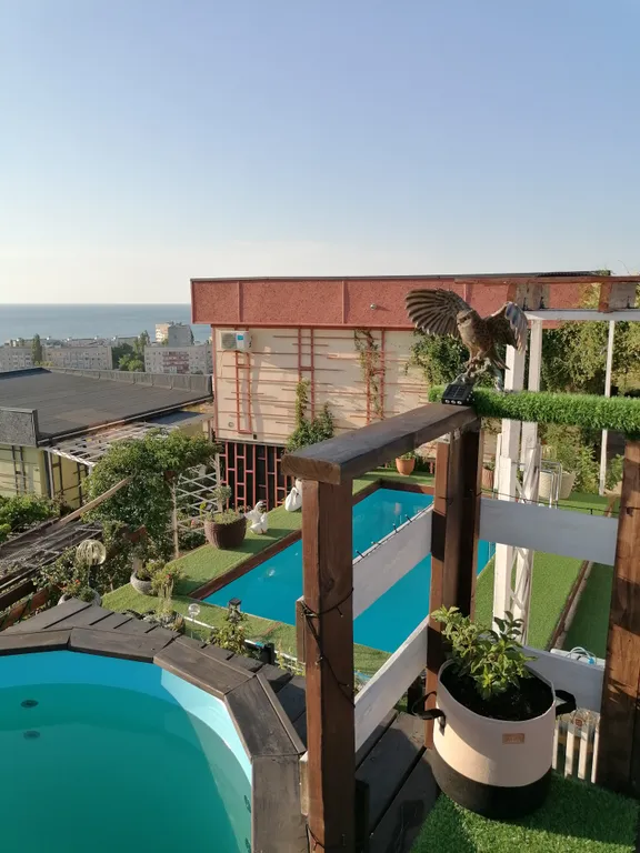 2-комнатный дом с бассейном с видом на Азовское море Абрикос