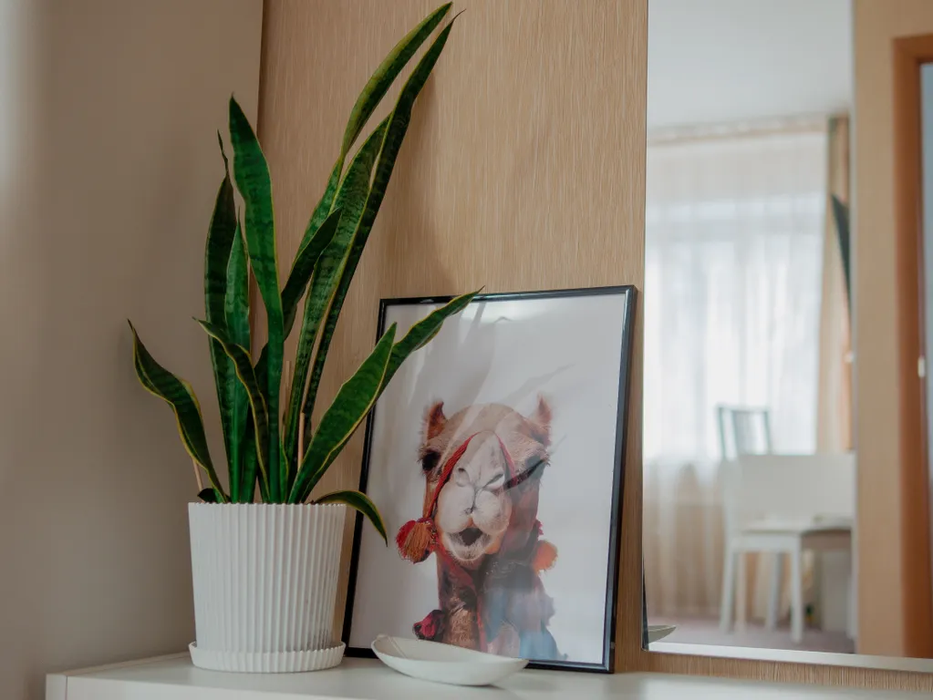 Солнечная квартира в центре