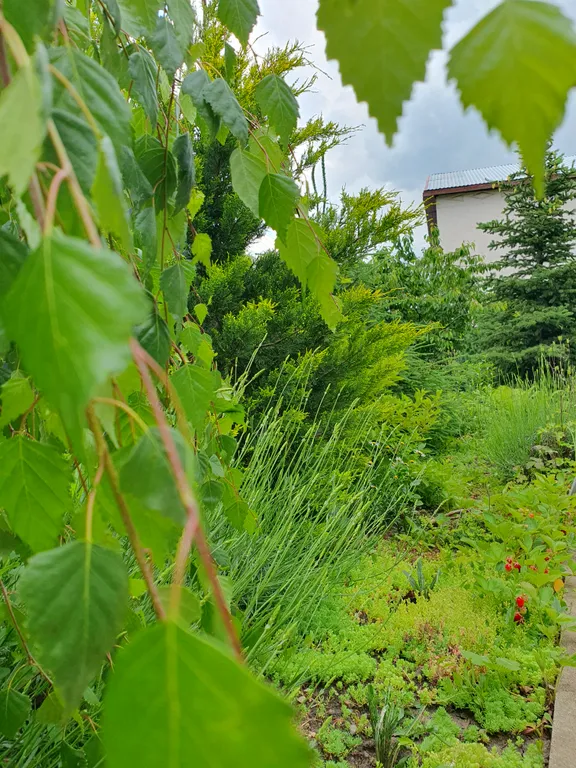 Коттедж FLIGELMUZ (Загородный Музыкальный Флигель). — Северская