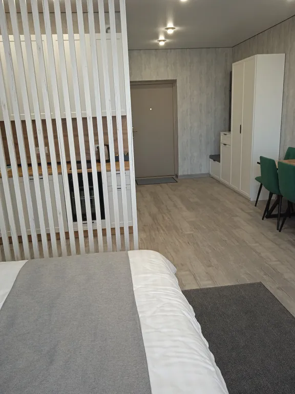 Уютная квартира-студия в центре города