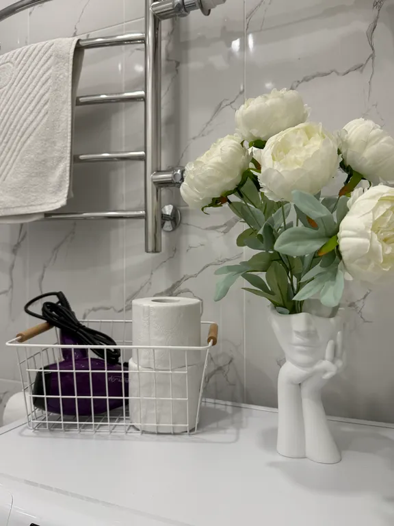 Стильная однушка в центре колыбели России-Великом Новгороде