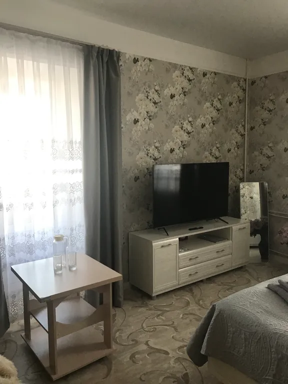 Однокомнатная квартира с окнами на парк Землячки рядом цирк, УДС Молот