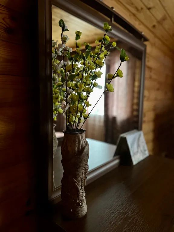 Уютный дом в исторической черте города