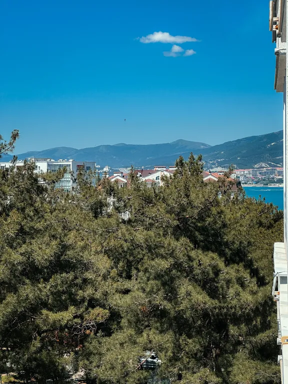 Квартира Квартира Limе apartments — Геленджик