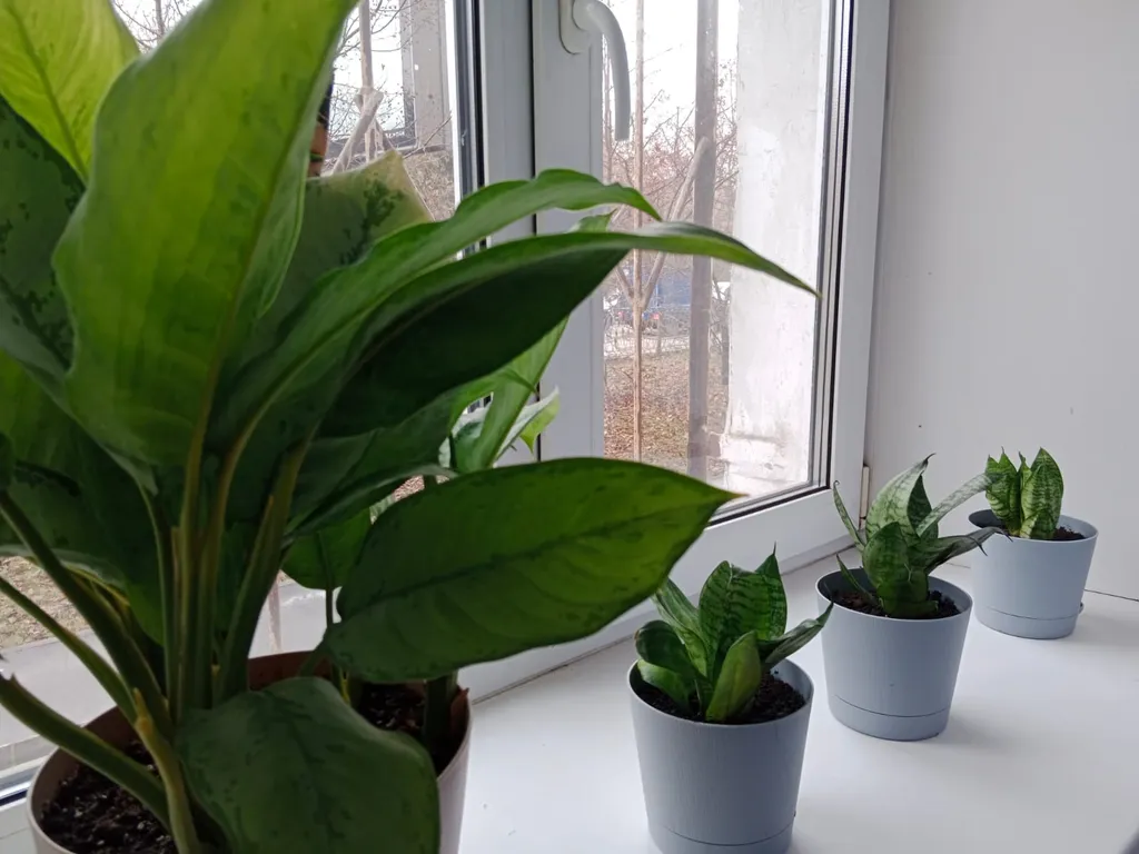 Квартира Уютные апартаменты в центре города — Екатеринбург