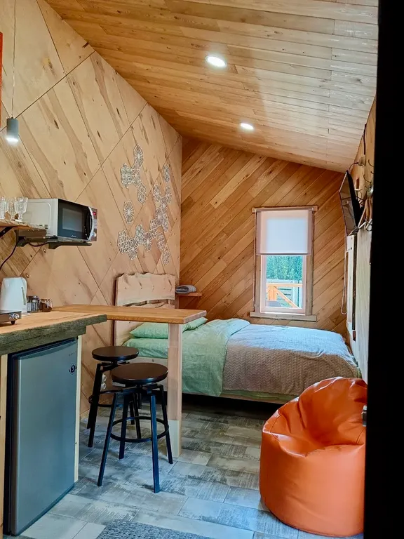 Дом морошка