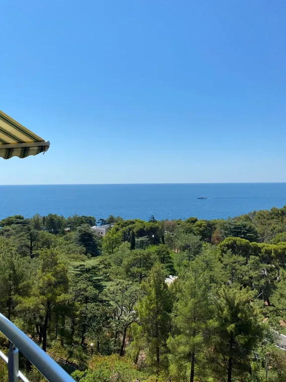 Квартира-студия с видом на море, парк Чаир и гору Ай-Петри