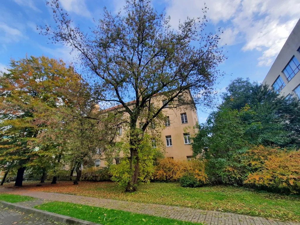 Квартира 1-комнатная Квартира — Калининград