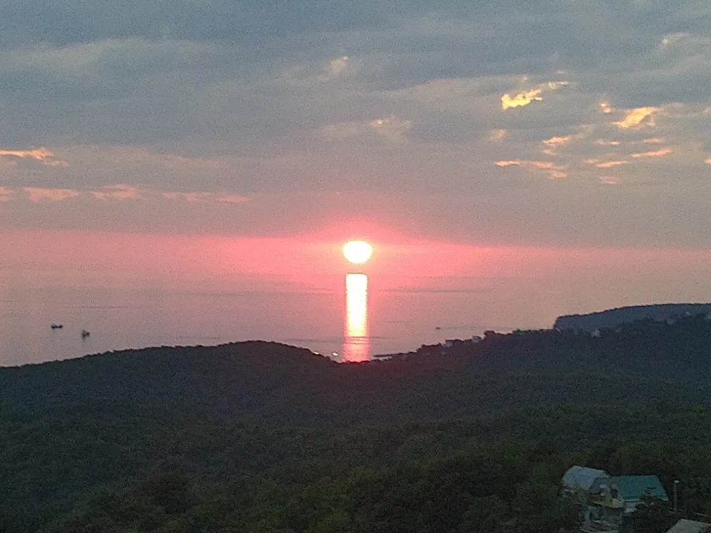 Бревенчатый дом 2 в лесу с бассейном