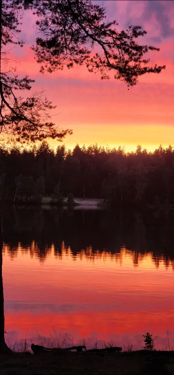 Коттедж Гостевой дом Уютная Орхидея — Первомайское